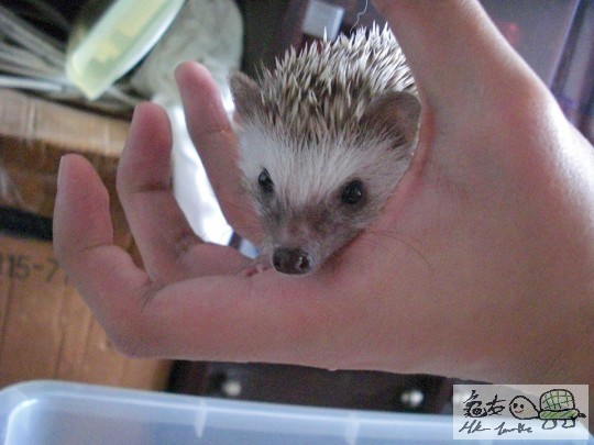 臭臭特寫 (3).jpg