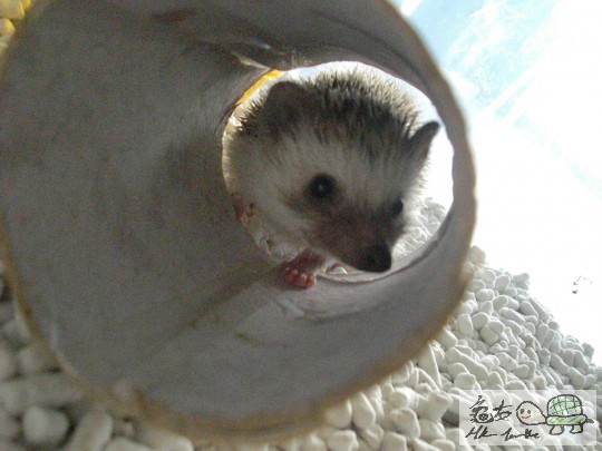 臭臭特寫 (4).jpg