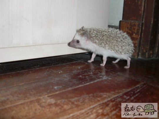 臭臭特寫 (6).jpg