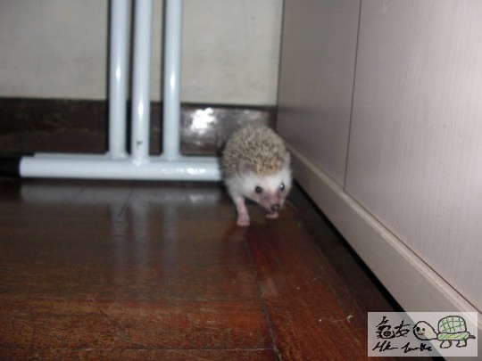 臭臭特寫 (5).jpg