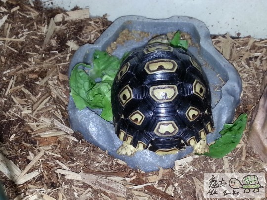 2013-06-23 17.43.00.jpg