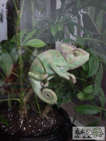 2013-06-24 21.09.12.png