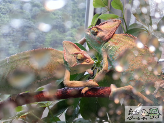 2013-07-01 19.40.36.png