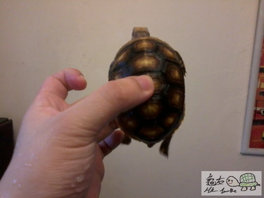 2013-08-02 15.43.12.jpg