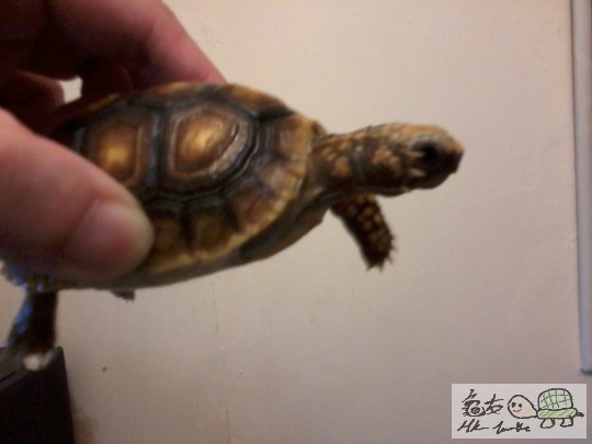 2013-08-02 15.42.49.jpg