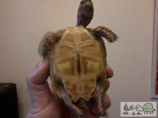 2013-08-02 15.42.55.jpg