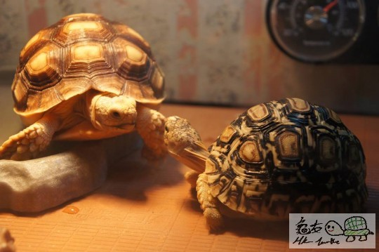 情深對望的一刻>3<