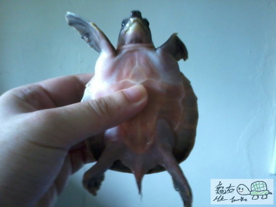 2013-08-02 12.32.55.jpg