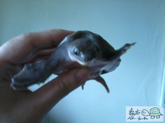 2013-08-02 12.32.58.jpg