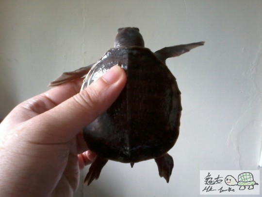 2013-08-02 12.33.04.jpg