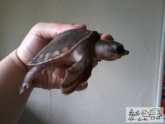 2013-08-02 12.33.13.jpg