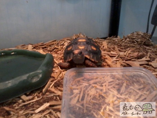 2013-08-13 13.20.35.jpg