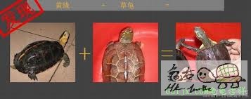 下载2.jpg