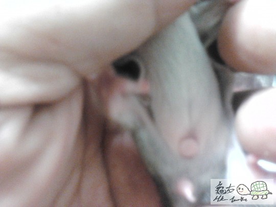 2013-08-24 23.31.02.jpg