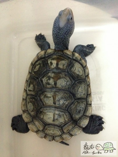 2013-08-26 21.44.48.jpg