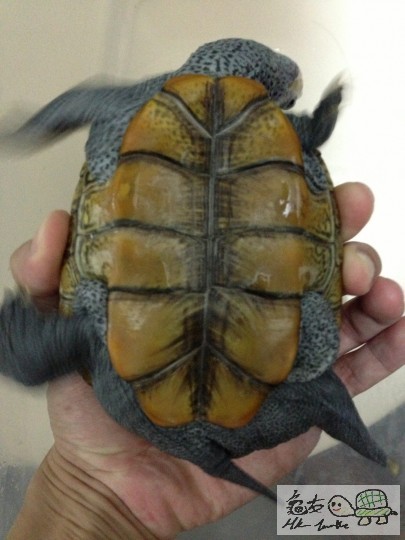 2013-08-26 21.45.00.jpg