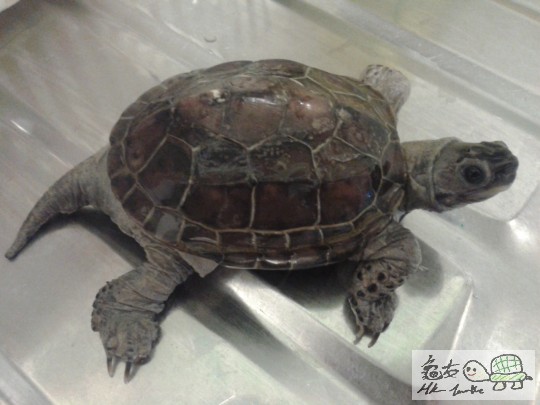 2013-08-28 09.01.34.jpg