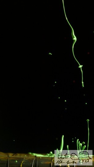 試影(21 Feb.11)-51.jpg