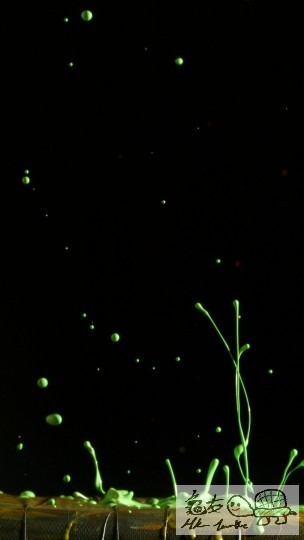 試影(21 Feb.11)-53.jpg