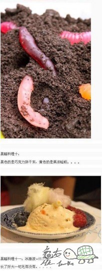 english can cook06.jpg