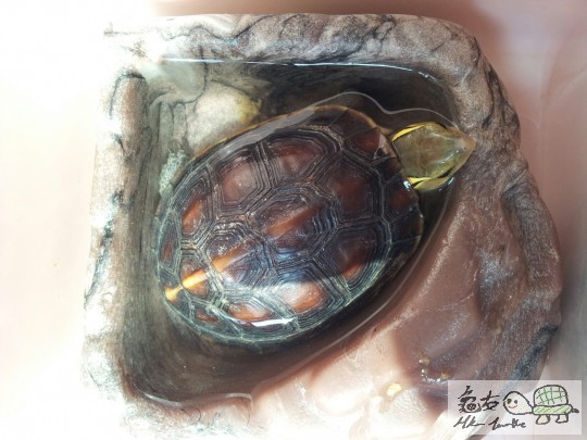 20131016_100132_resized (1).jpg