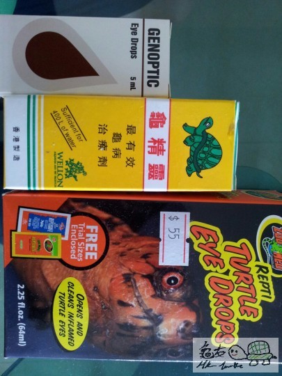 20131018_112657_resized.jpg