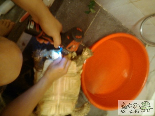 用電尖咀批鑬入尿石內