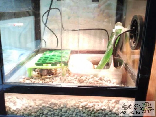 2013-12-28 17.04.18.jpg