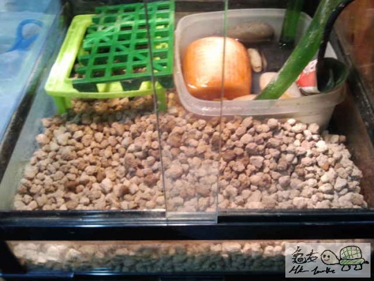 2013-12-28 17.04.44.jpg