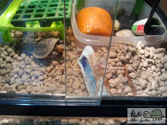 2013-12-28 18.47.53.jpg