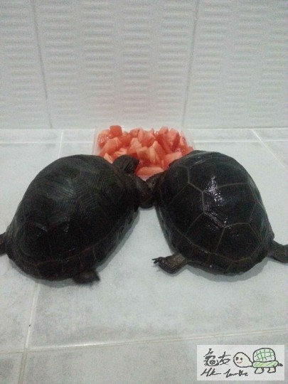 相片 9-1-14下午07 46 52.jpg