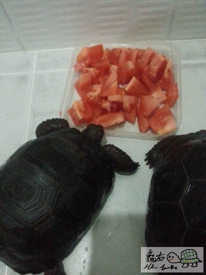 相片 9-1-14下午07 46 56.jpg