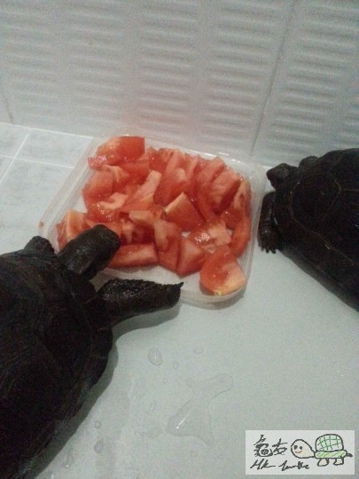 相片 9-1-14下午07 46 59.jpg