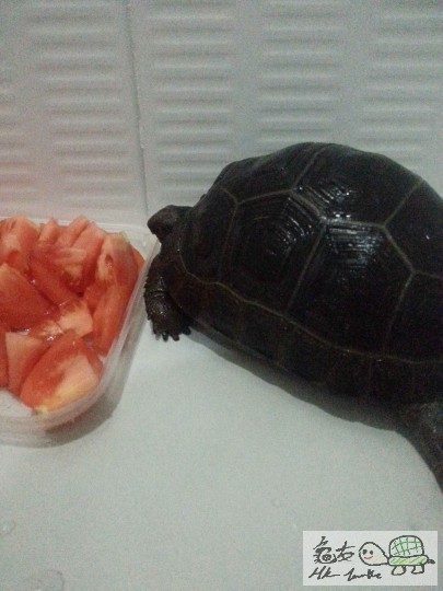 相片 9-1-14下午07 47 01.jpg