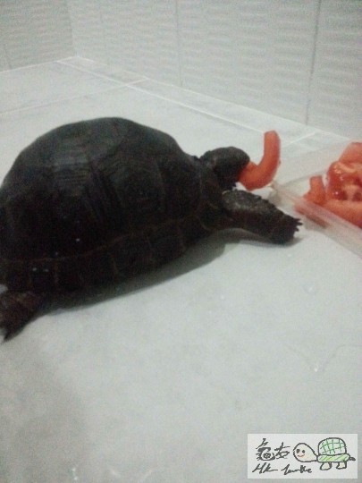 相片 9-1-14下午07 47 05.jpg