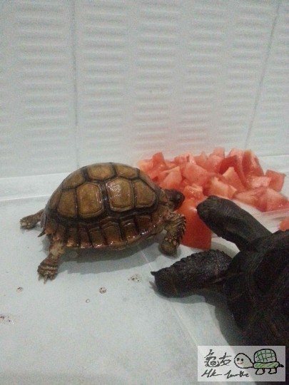 相片 9-1-14下午07 47 07.jpg