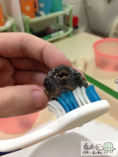 惡到死!!!!! 次次都甘惡