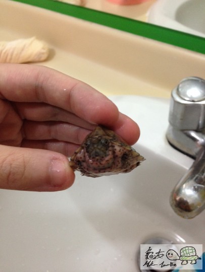 怕醜怪 始終如一都係甘害羞