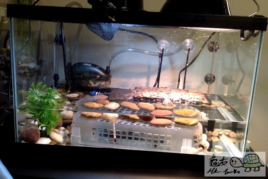 Photo on 1-18-2014 at 1.42 PM #2.jpg