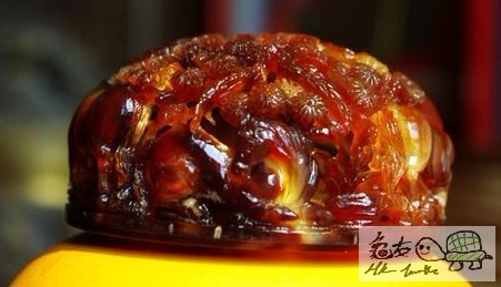 玳瑁2...jpg