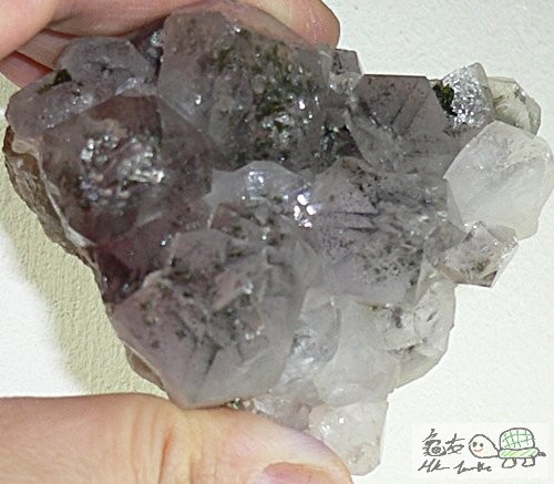 4543_110677283661_8130962_n (2).jpg