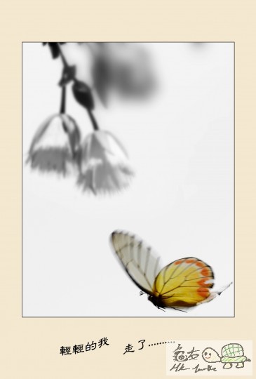 輕輕的我走了_DCFever_small.jpg
