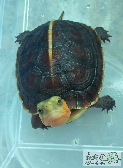 2014-01-25 11.25.18.jpg