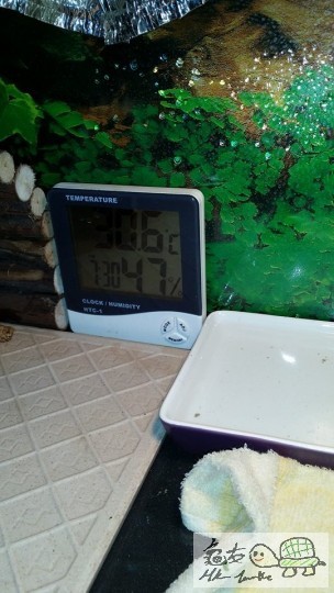 在魚街買好似40元