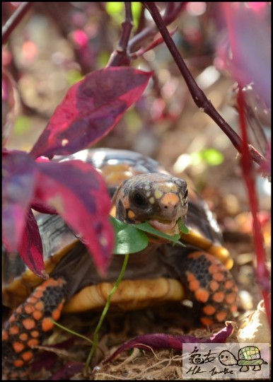 吃得自在.........