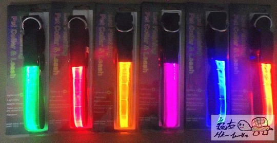 Dog collar-LED.jpg