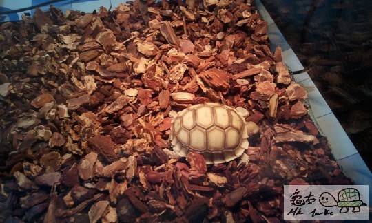 2014-02-13 17.32.22.jpg