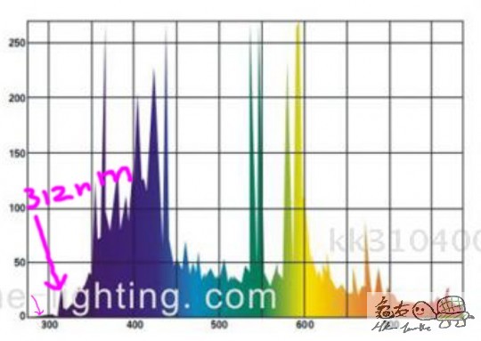 1=312nm.jpg