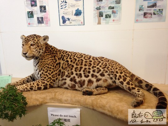 2014-03-07 12.10.30.jpg