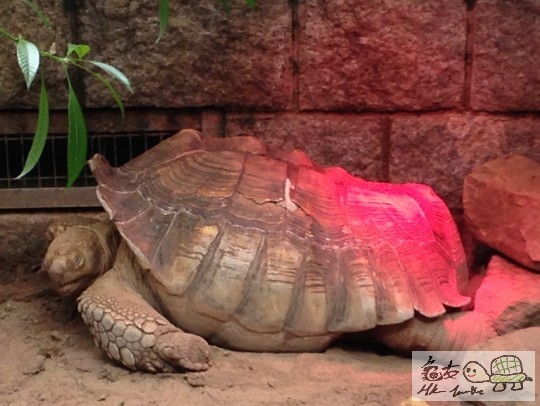 2014-03-07 12.16.41.jpg